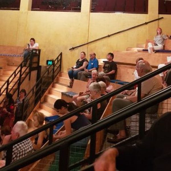 An image of a group of people sitting in a theatre, all watching the performance in front of them, which is not shown in the image