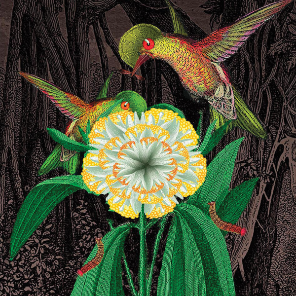 Terra Incognita image