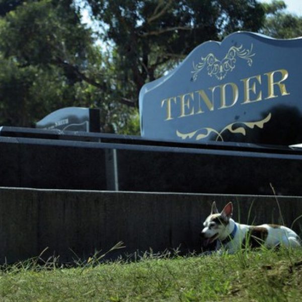 Tender