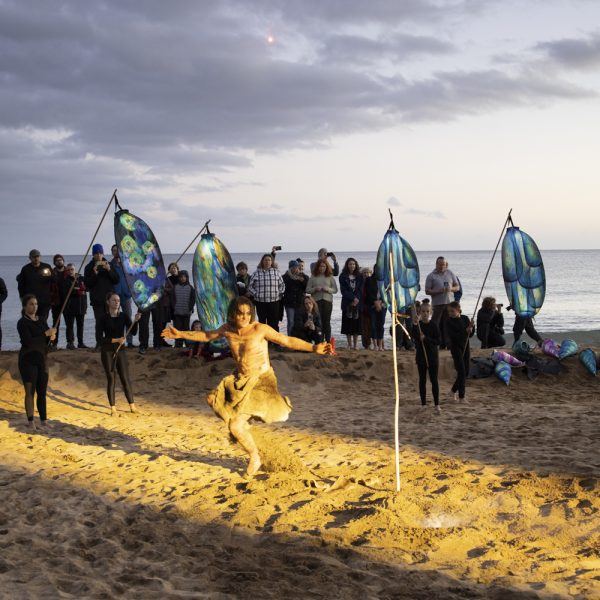 mapali – Dawn Gathering