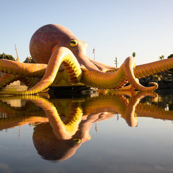 Image description: An enormous inflatable octopus sits above a body of water. The octopus is yellow and orange with Maori markings across its curly tentacles and bulging mantle.