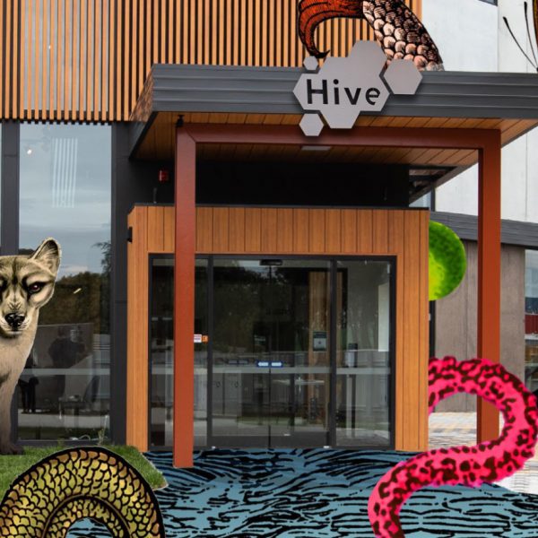 A picture of Ulverstone's The HIVE has been taken over by digital butterflies, octopus tentacles, a river, birds and two platypuses that playfully emerge from and immerse the building.