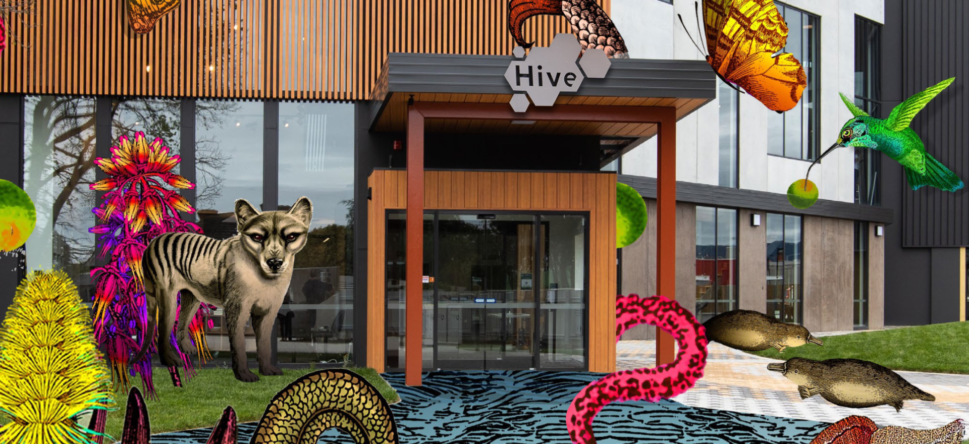 A picture of Ulverstone's The HIVE has been taken over by digital butterflies, octopus tentacles, a river, birds and two platypuses that playfully emerge from and immerse the building.