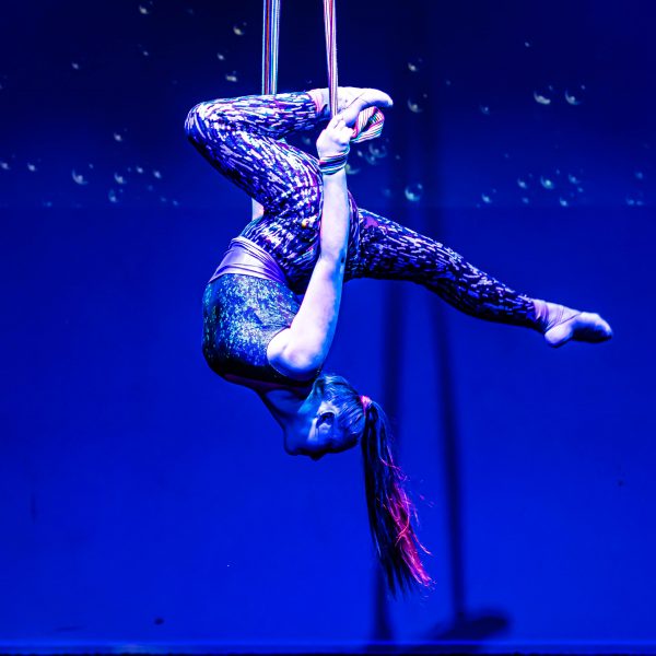 A person wearing patterned spandex hangs upside down while held by silk lengths of fabric.
