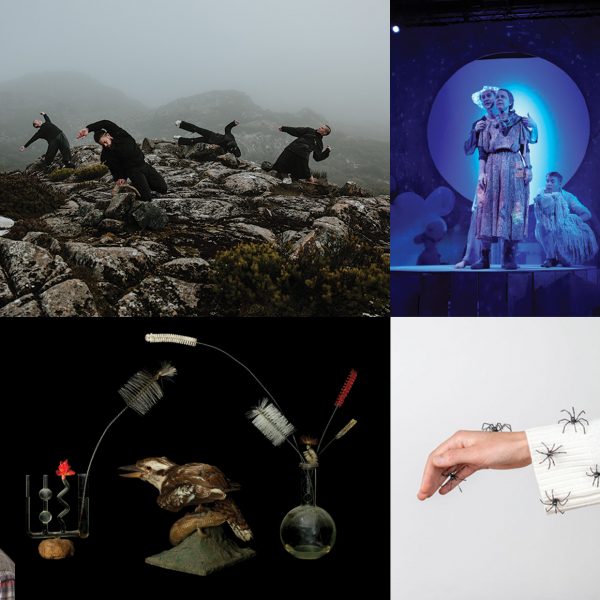 A collection of images creating a mood board. Images include spiders crawling up a sleeve, people dancing among rocks, faces of key project creatives and a taxidermied kookaburra.