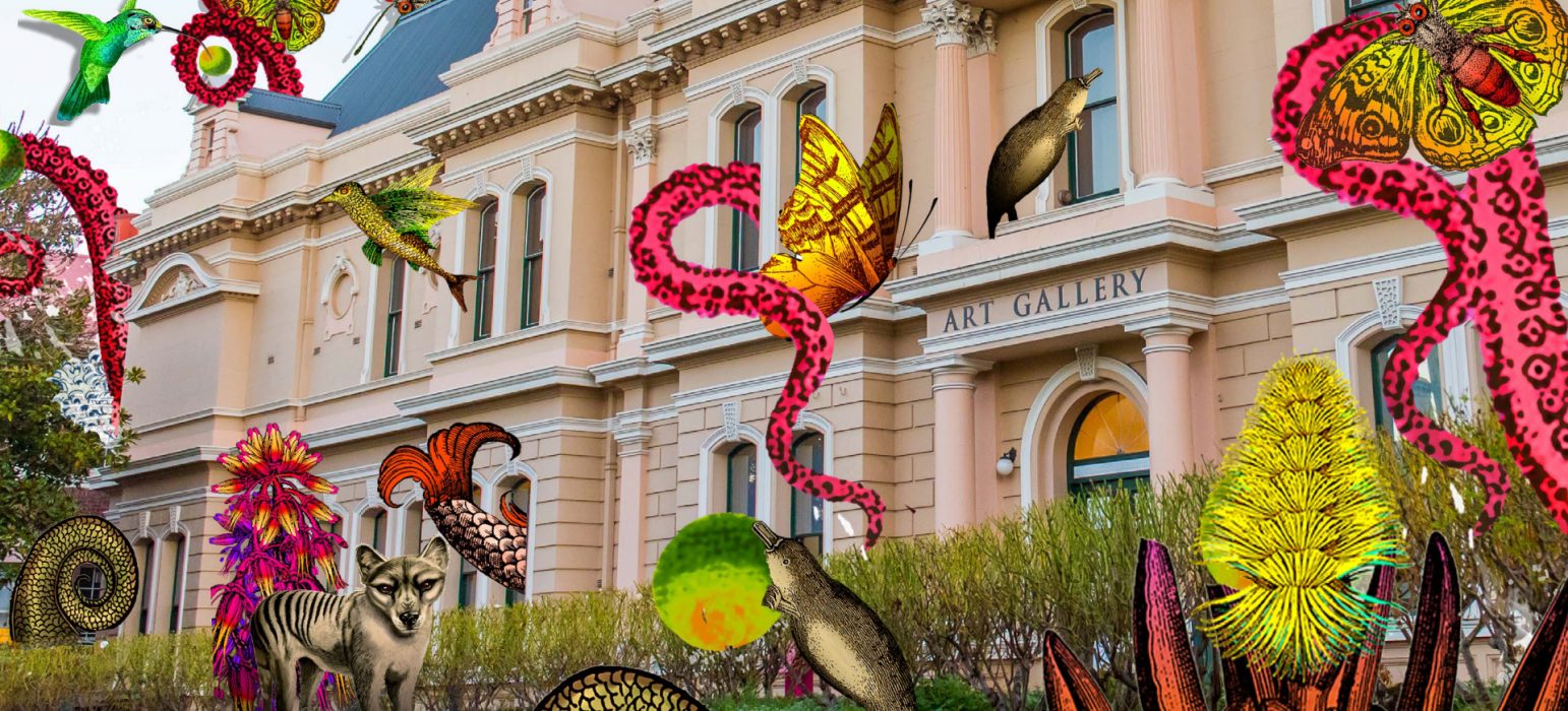 A picture of Launceston's QVMAG Art Gallery has been taken over by digital butterflies, octopus tentacles, a Tasmanian Tiger and a platypus that playfully emerge from and immerse the building.