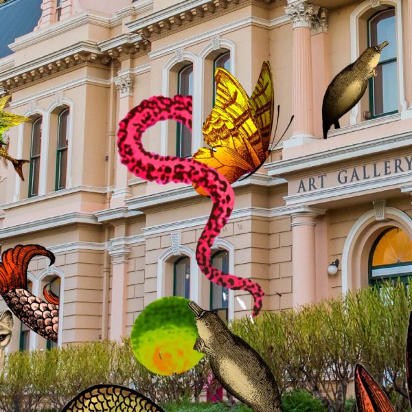 A picture of Launceston's QVMAG Art Gallery has been taken over by digital butterflies, octopus tentacles, a Tasmanian Tiger and a platypus that playfully emerge from and immerse the building.