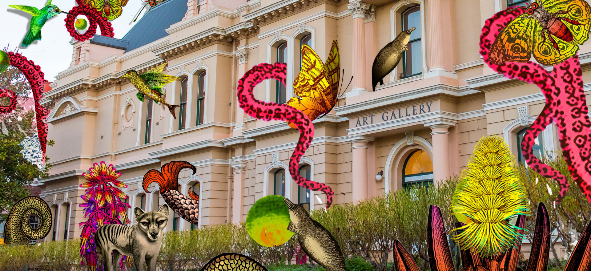 A picture of Launceston's QVMAG Art Gallery has been taken over by digital butterflies, octopus tentacles, a Tasmanian Tiger and a platypus that playfully emerge from and immerse the building.