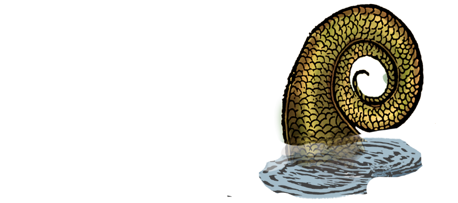 graphic of spiral tail coming out of water