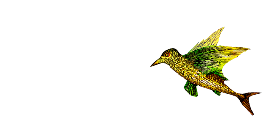 flying bird like character, green and yellow and a it's a graphic out of our Ten Days hero image by Milan Milojevic