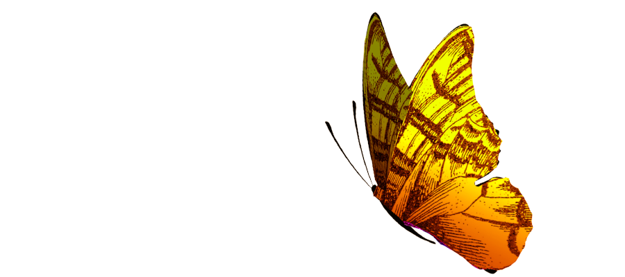 yellow and orange butterfly graphic