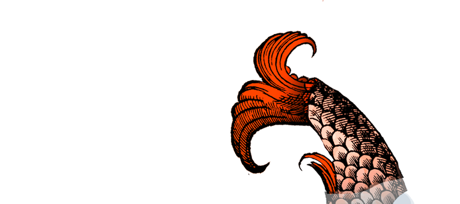 Red fish tail